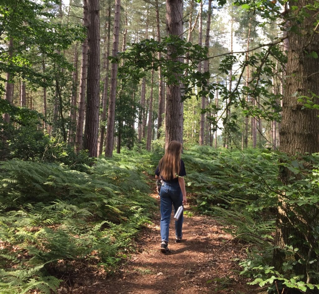 Delamere Forest CPRE Cheshire