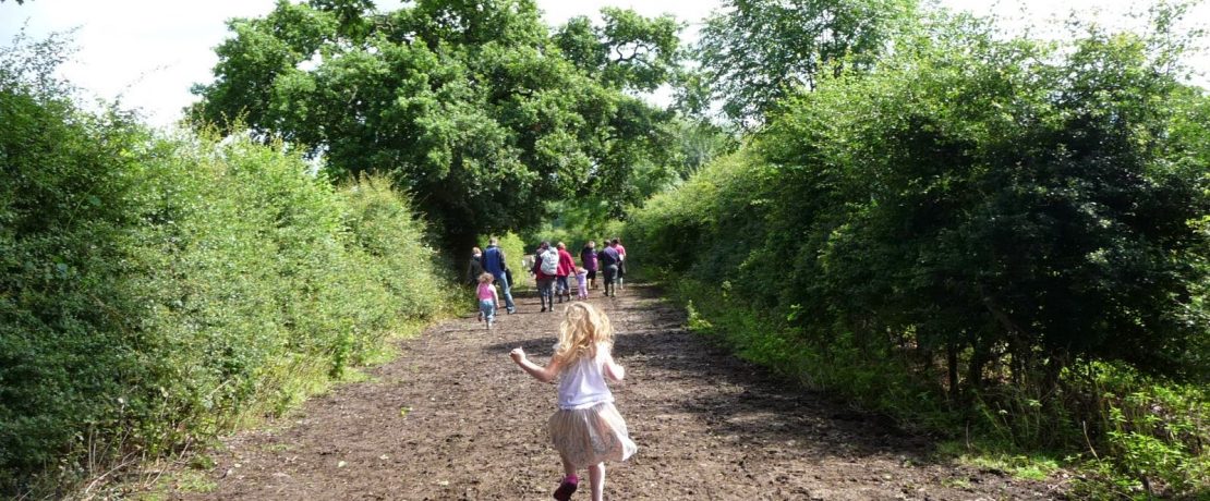 Family Farm Walk - hedgerow species count
