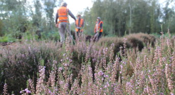 Volunteers at Birch Moss Covert