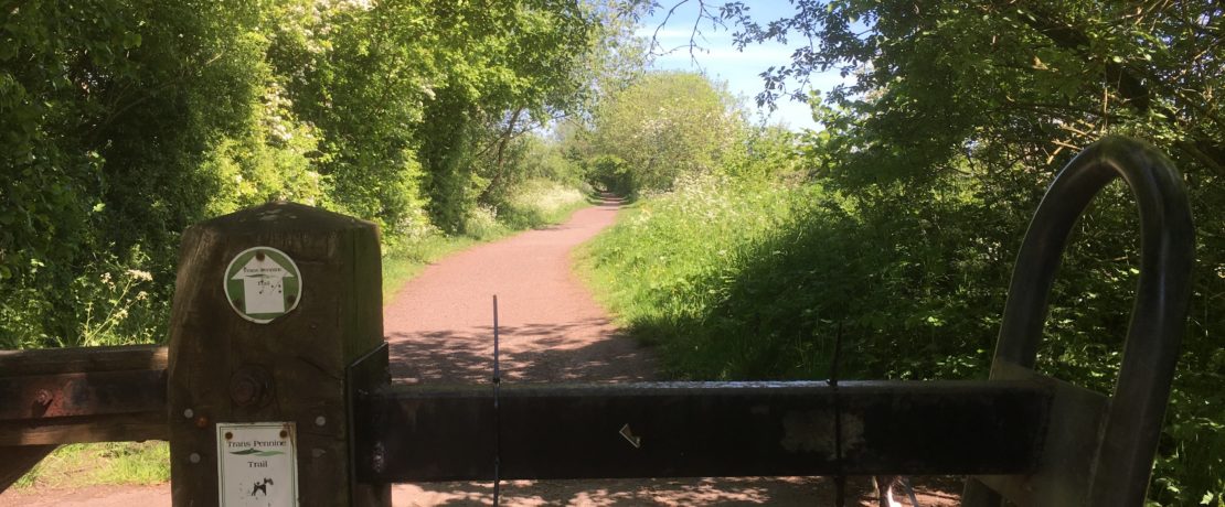 Trans-Pennine Trail, Lymm