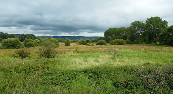 Danes Moss under a grey sky