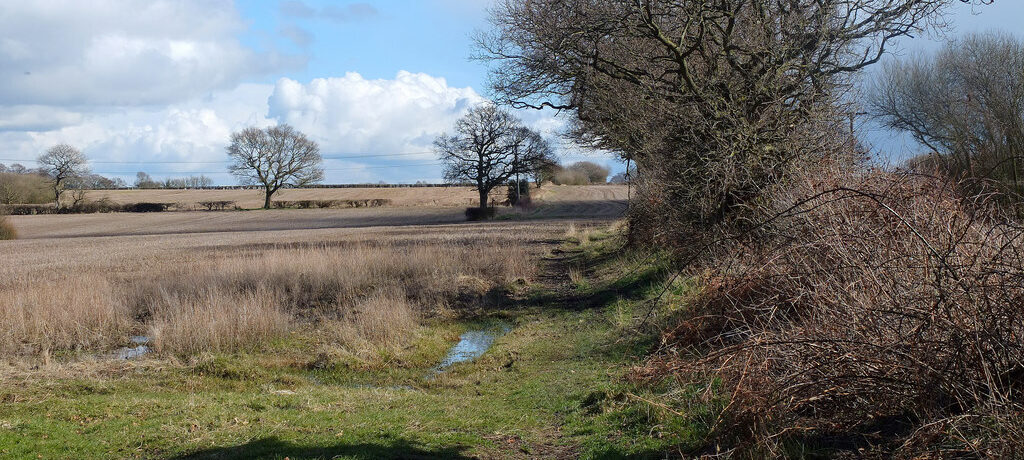 Cheshire farmland in Grappenhall