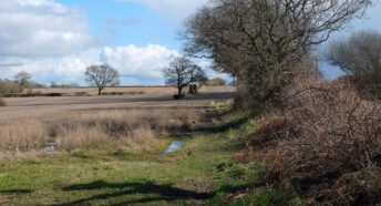 Cheshire farmland in Grappenhall