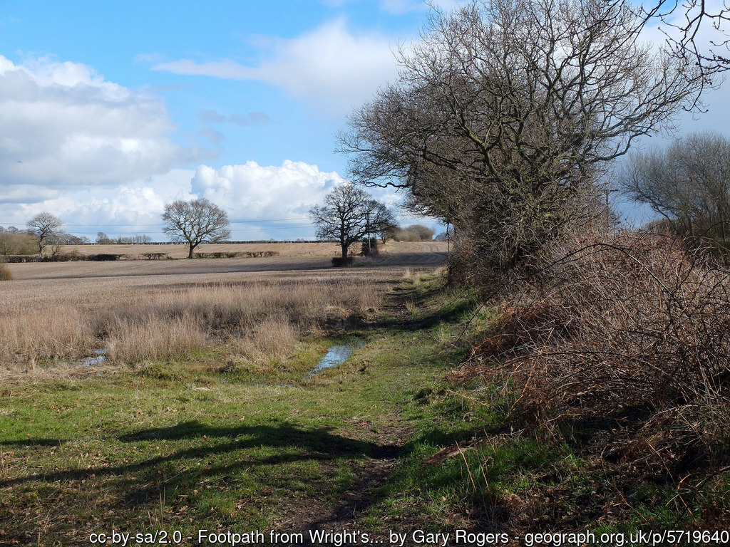 Cheshire farmland in Grappenhall