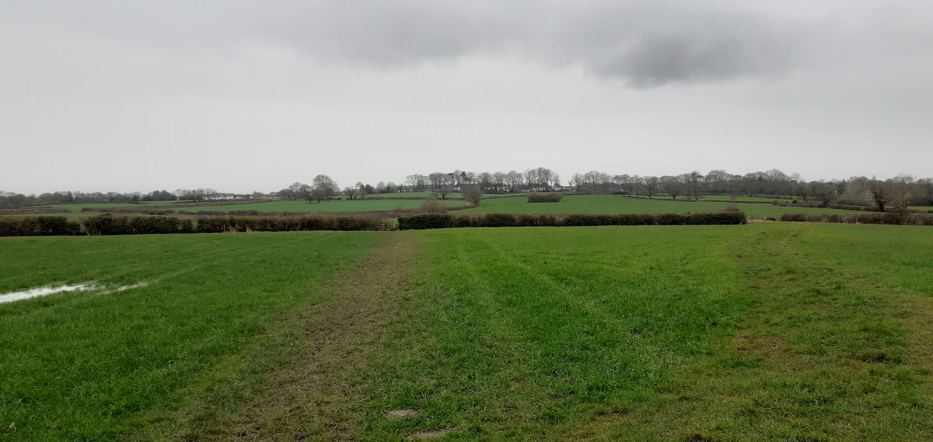 CPRE celebrates a significant win for Wirral's countryside CPRE Cheshire