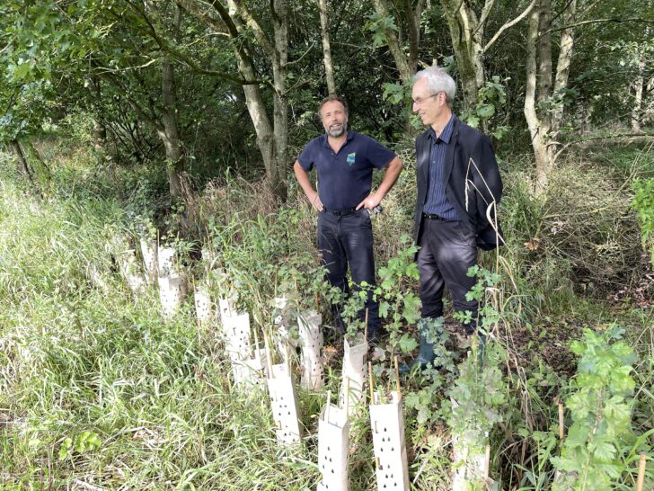 Neil McMahon (TCV) and Jonathan Clarke (CPRE Cheshire) looking at the progress of the hedgerow planted between Nov 2022 and Mar 2023