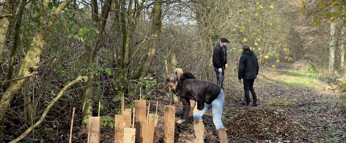 CPRE volunteers planting hedgerow at Countess of Chester Country Park