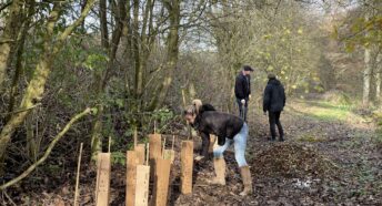 CPRE volunteers planting hedgerow at Countess of Chester Country Park