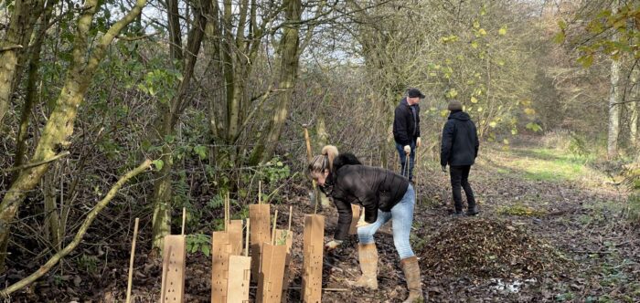 CPRE volunteers planting hedgerow at Countess of Chester Country Park