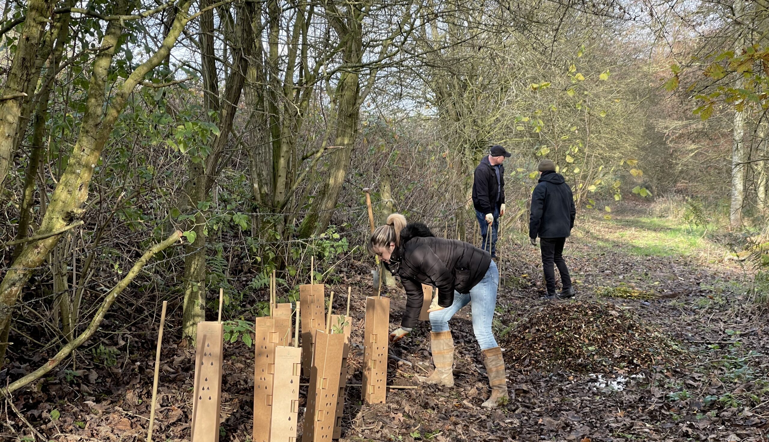 CPRE volunteers planting hedgerow at Countess of Chester Country Park