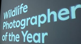 Graphic showing the words 'Wildlife Photographer Of The Year' black background and blue writing