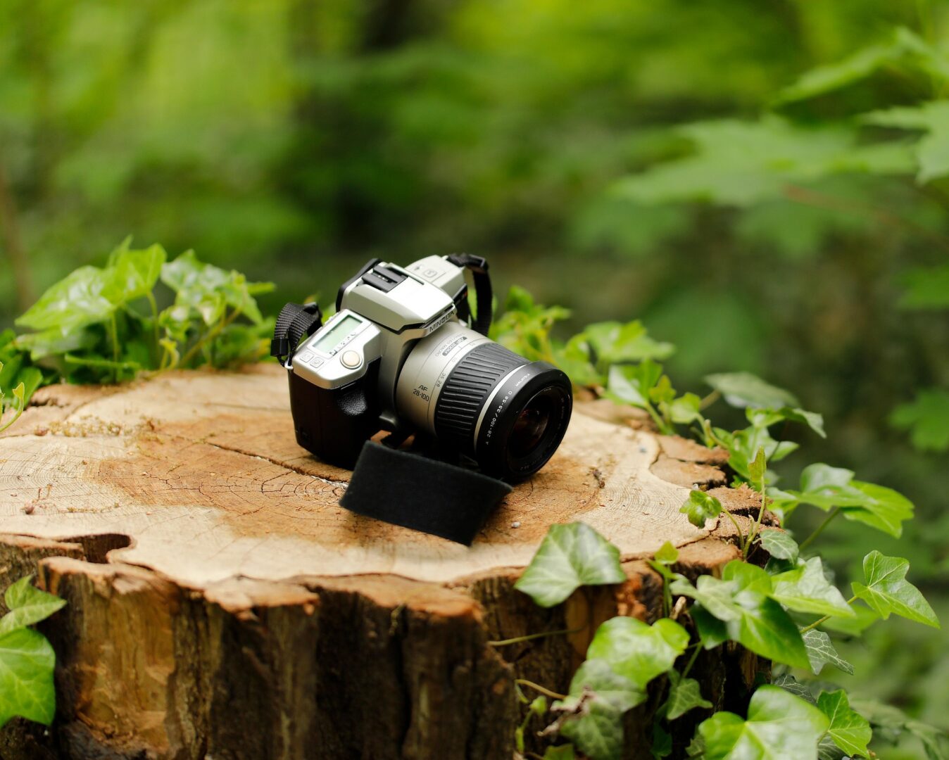 Camera in nature