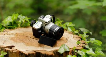 Camera in nature